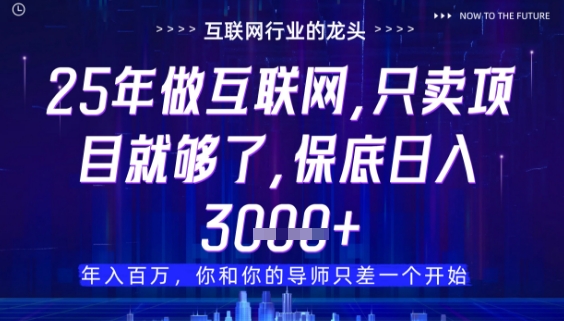 什么！25年你还在找项目做？风口早就变了，卖项目才是稳挣不赔【揭秘】-巴七创客网