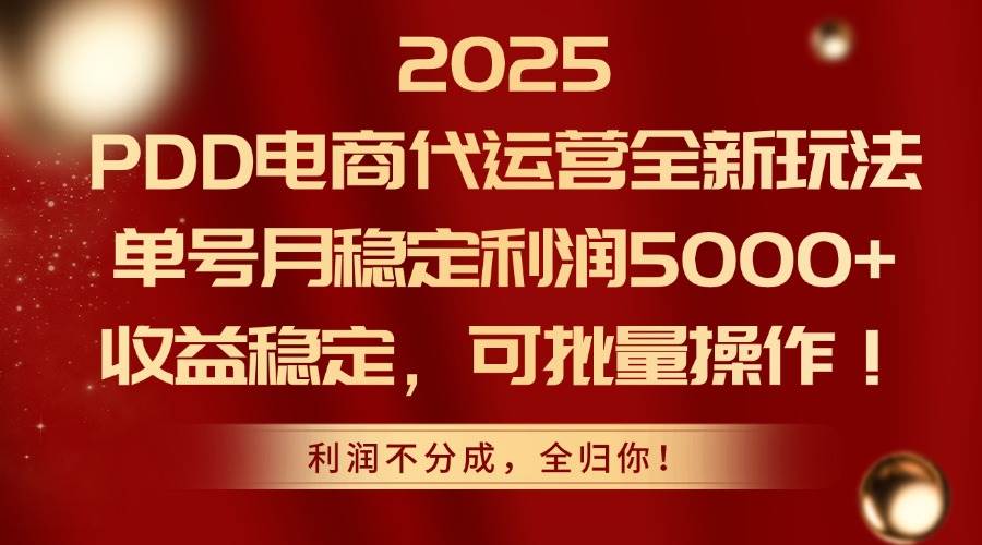 （14839期）2025PDD电商代运营全新玩法，单号月稳定利润5000+，收益稳定，可批量操作-巴七创客网